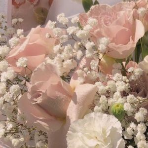 Meet your Posher, Zoey